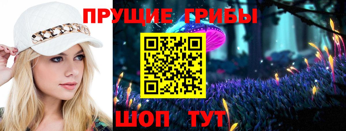 Галлюциногенные грибы мицелий Верхняя Пышма