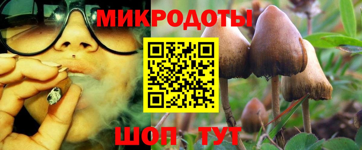 Верхняя Пышма  Галлюциногенные грибы GOLDEN TEACHER  Вход с VPN 